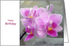 happy birthday pink orchid flower card