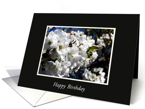happy birthday cherry blossom card (609509)