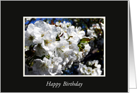 happy birthday cherry blossom card