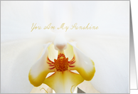 white elegant orchid for mother’s day card