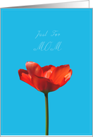 Mother’s day red tulip for Mom card