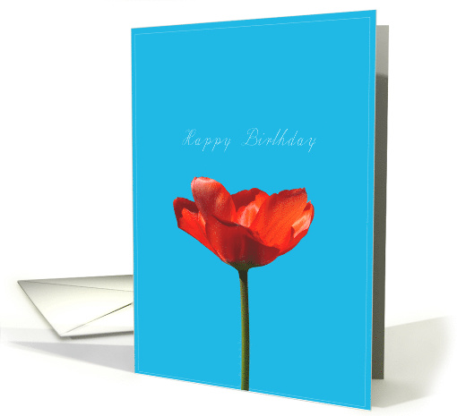 red tulip for birthday card (613529)