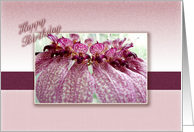 happy birthday original orchid flower bulbophyllum eberhardtii card