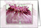 happy birthday original orchid flower bulbophyllum eberhardtii card