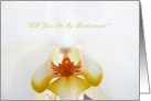 Will you be my bridesmaid white orchid phalaenopsis card