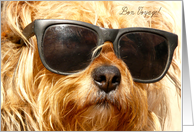 bon voyage, dog with sunglasses card