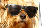 bon voyage, dog with sunglasses card