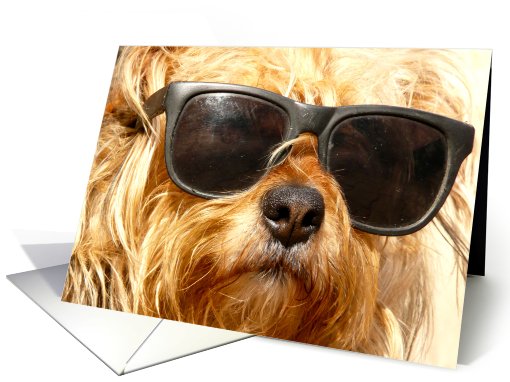 happy father's day, dog wearing sunglasses card (635725)