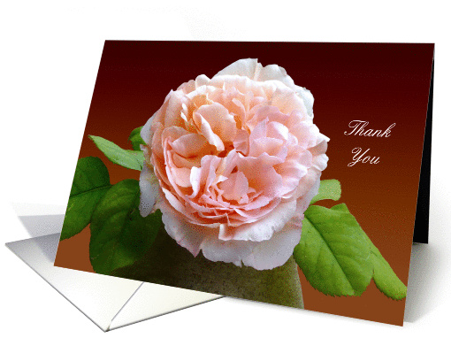 thank you elegant vintage rose in a vase card (636694)