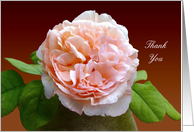thank you elegant vintage rose in a vase card