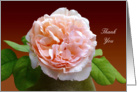 thank you elegant vintage rose in a vase card