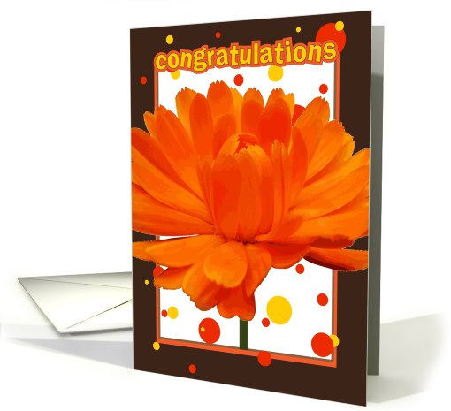 congratulations, orange flower, red and yellow bubbles card (644293)