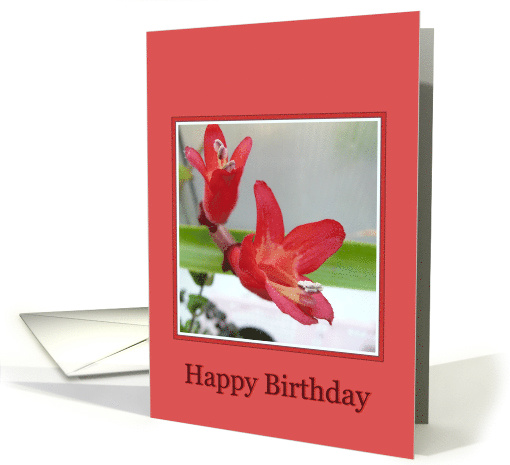 happy birthday, exotic red flowers card (714523)