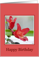happy birthday, exotic red flowers card