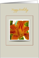 happy birthday, orange lily photography framed card