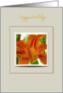 happy birthday, orange lily photography framed card