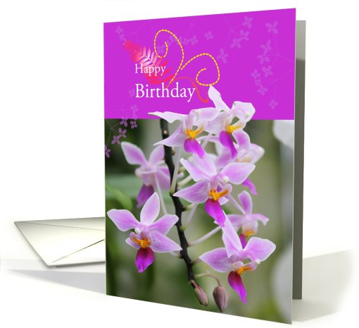 happy birthday delicat pink orchid blossom card (718762)