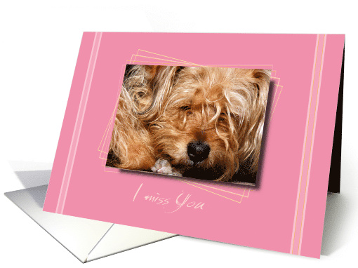 I miss you, sad dog on pink bakground card (722679)