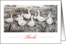 White Geese-Thanks-blank card