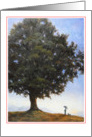 Large lone tree - blank card