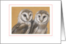Barn Owls - blank card