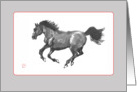 Galloping horse- blank card
