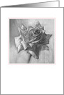 Rose-black & white - blank card