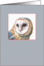 Barn Owl blank card