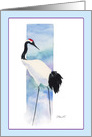 Red-Crowned Crane, blank note cards