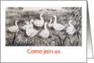 Come join us for coffee-geese card