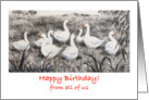 Happy Birthday from all of us -geese card