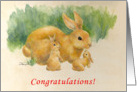 Congratulations-Twins-Bunnines card