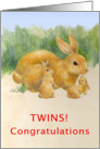 Congratulations-Twins-Bunnines card