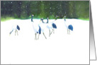 Red Crowned Cranes-blank note cards