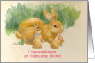 Congratulations on expecting twins, a boy & a girl- bunnies card