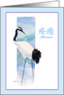 Recovery-Red Crowned Crane card