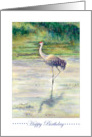 Happy Birthday-Sandhill Crane card