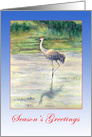 Season’s Greetings-Sandhill Crane card