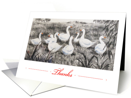 White Geese-Thanks-blank card (1264488)