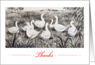 White Geese-Thanks...