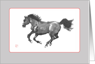 Galloping horse- blank card