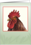 Rooster- blank card