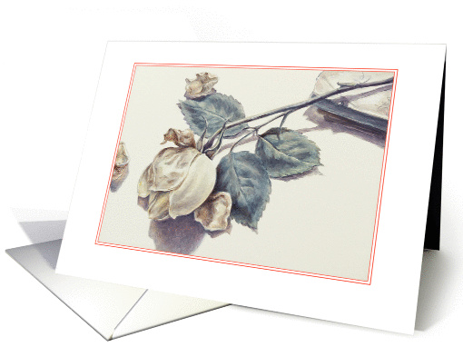 White rose- blank card (1433190)