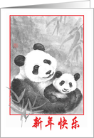 Panda Chinese New...