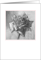 Rose-black & white - blank card