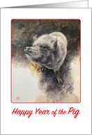 Happy Year of the Pig Blank card