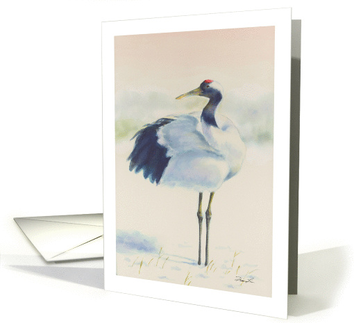 Red-Crowned Crane, blank note card (651195)