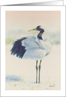 Red-Crowned Crane, blank note card