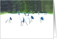 Cancer Encouragement-Red Crowned Cranes card