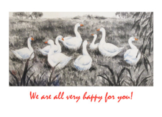 Congratulations, We are happy for you-geese